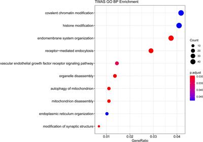 Integrative Analysis of Transcriptome-Wide Association Study and mRNA Expression Profiles Identified Candidate Genes and Pathways Associated With Acute Myocardial Infarction